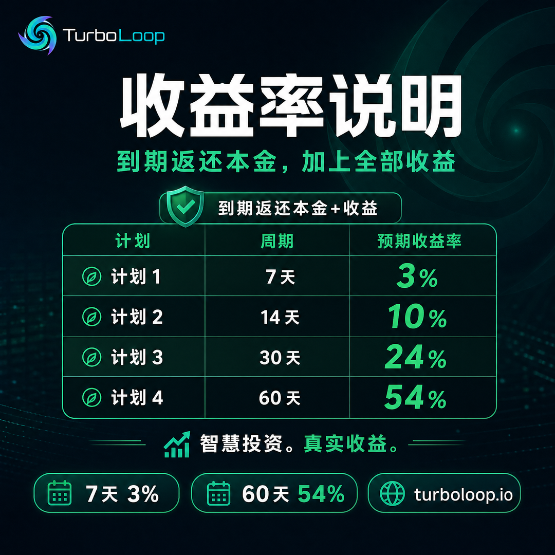 ROI Jieshao — TurboLoop Chinese Banner