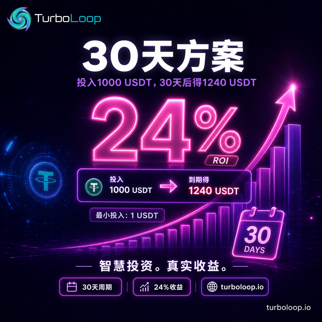 Plan3 30Tian — TurboLoop Chinese Banner
