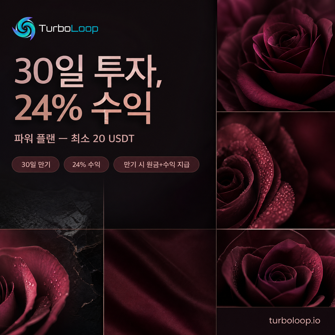TurboLoop Korean market banner — Power Plan — 30 days, 24% yield at end of term