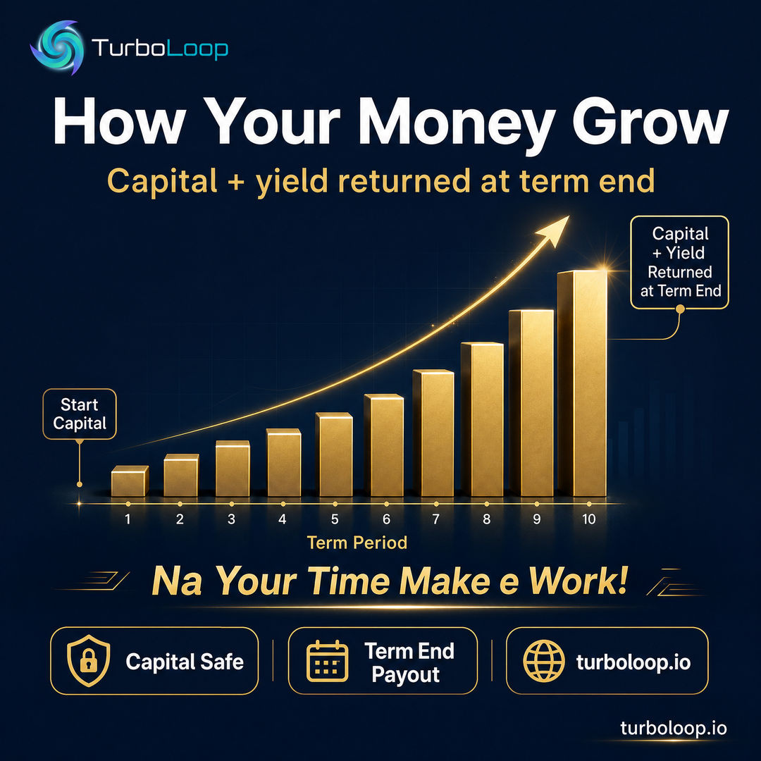 How Your Money Grow — TurboLoop Nigerian Pidgin Banner